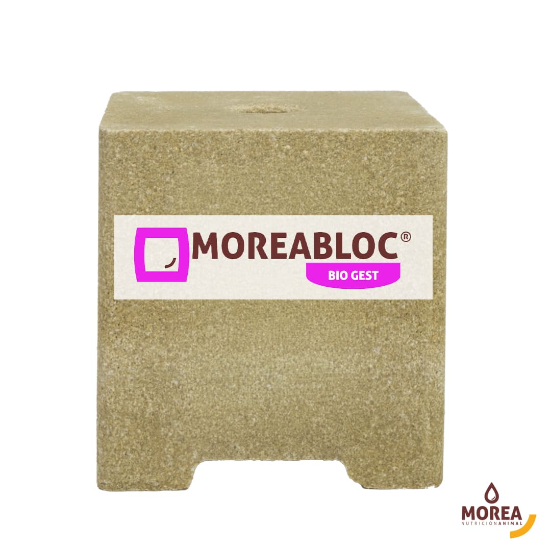 Moreabloc Biogest