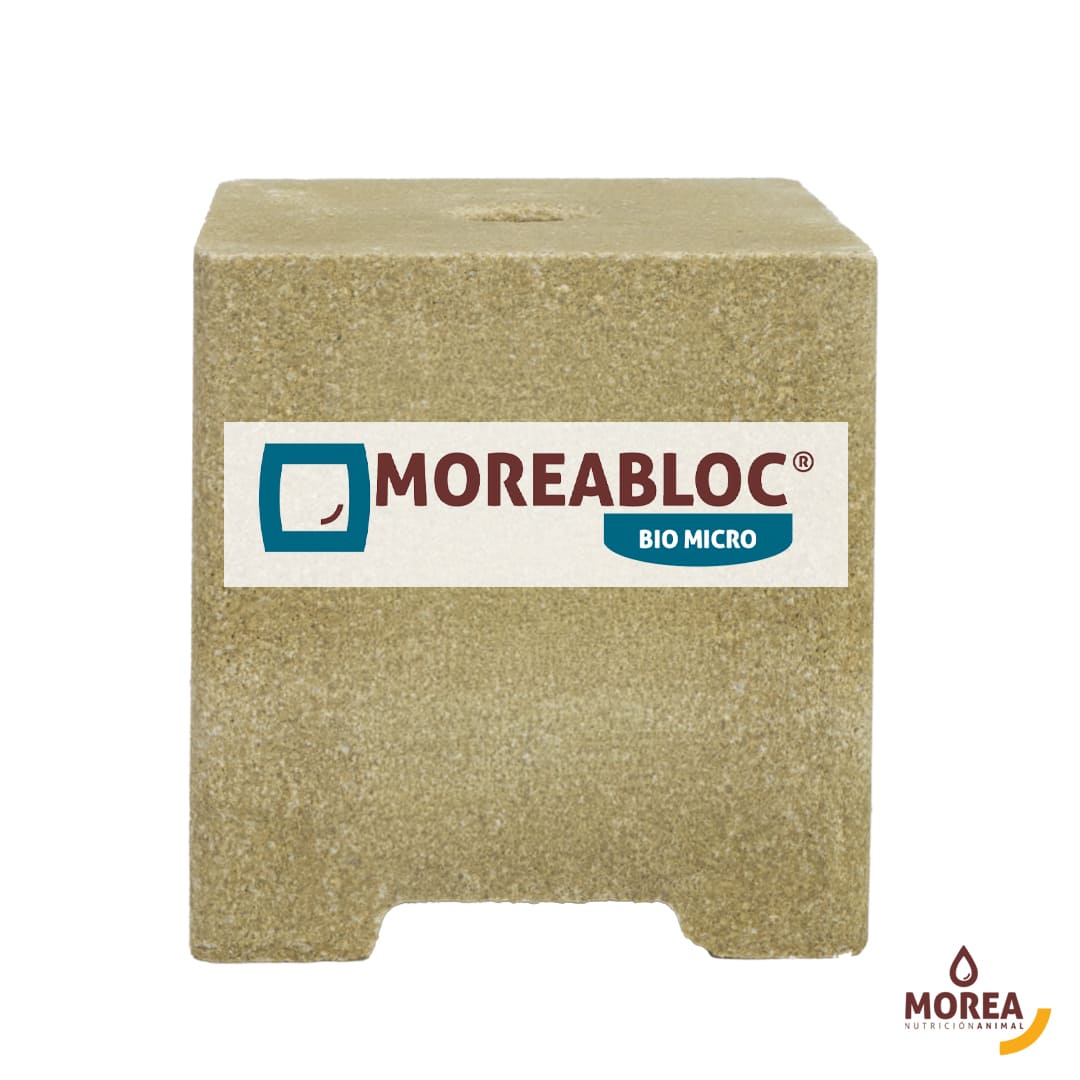 MoreaBloc Biomicro