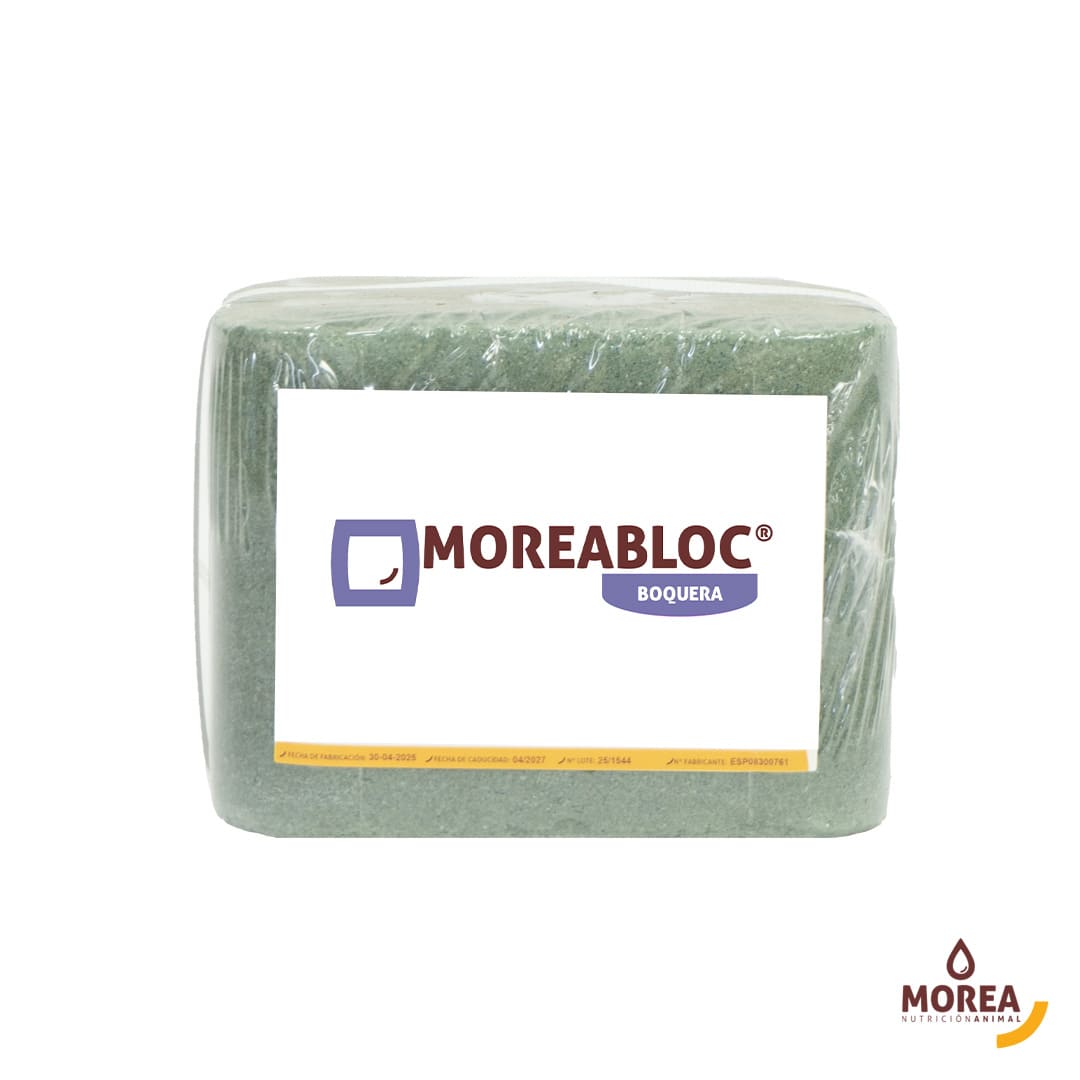 MoreaBloc Boquera