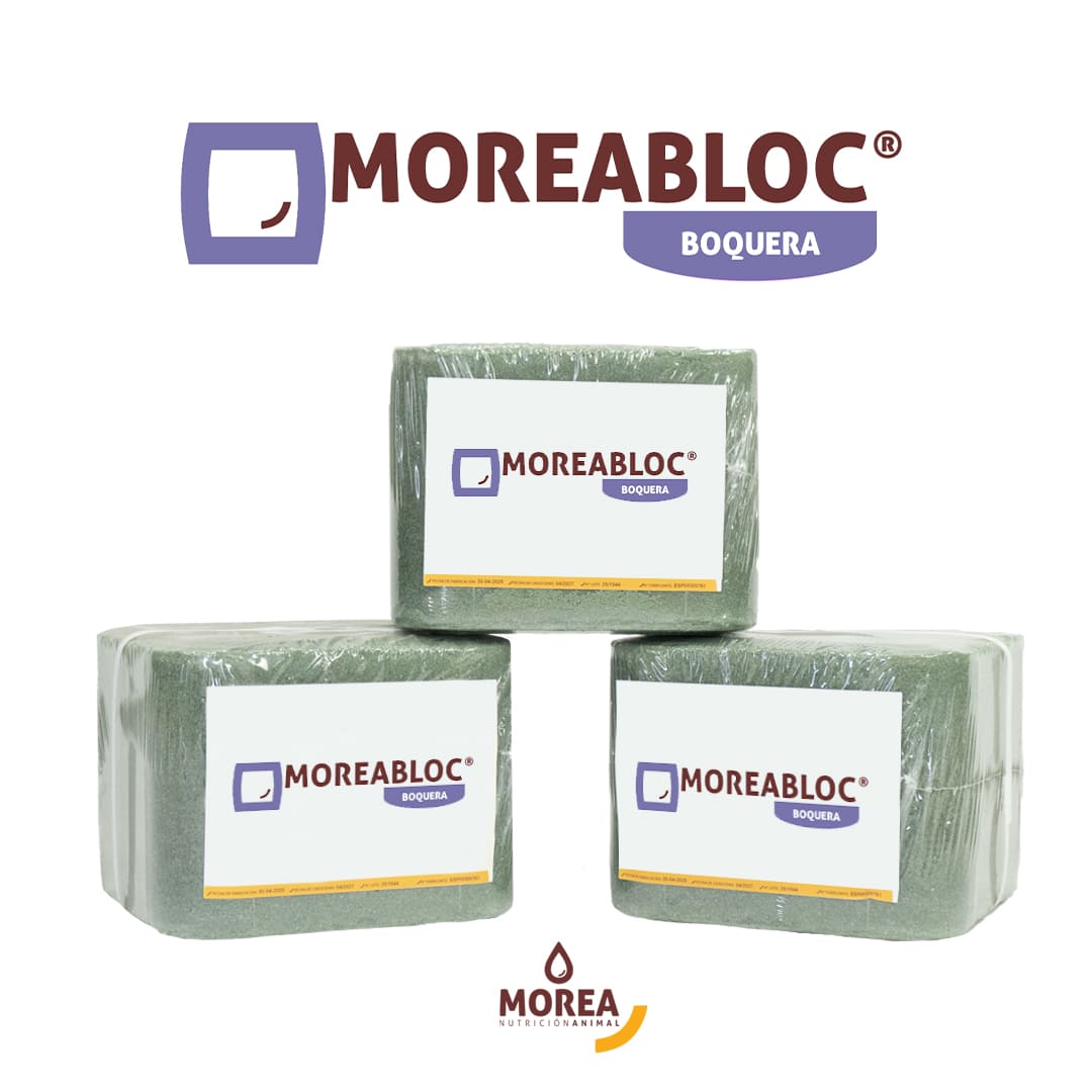 MoreaBloc Boquera