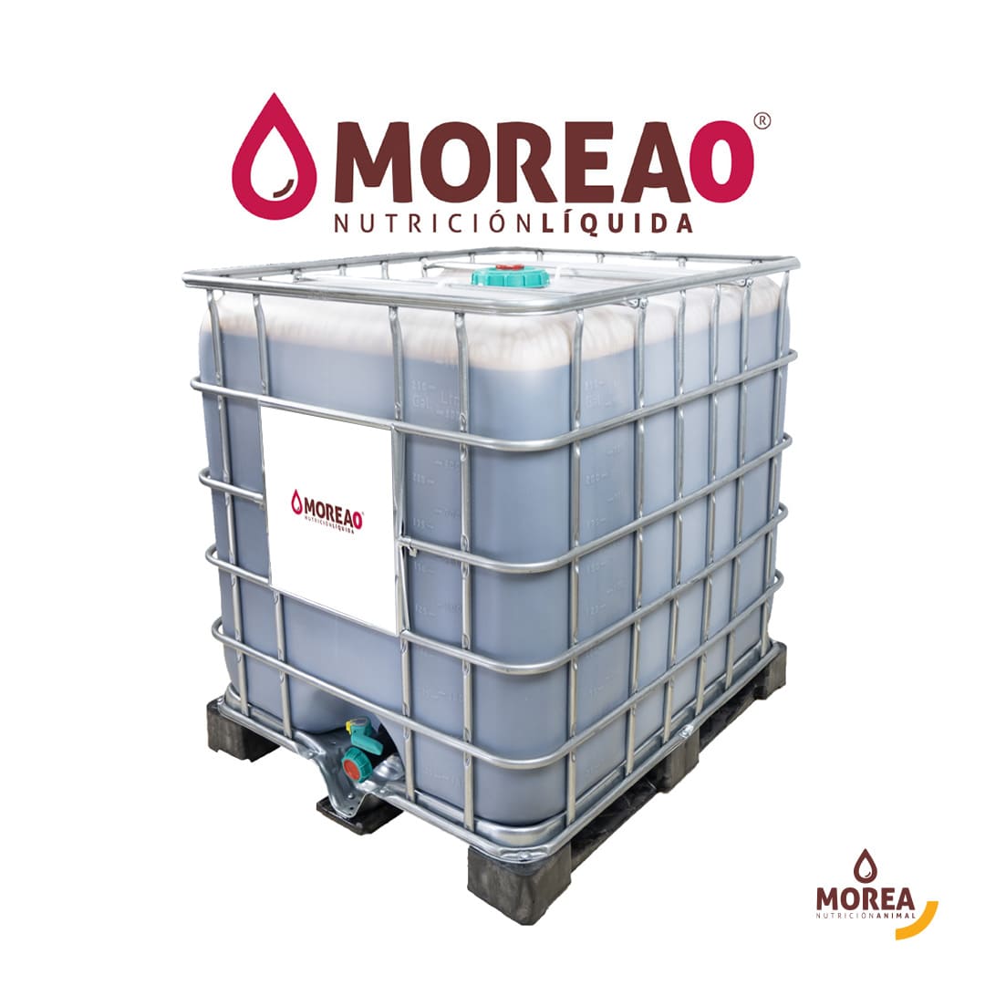 Morea 0