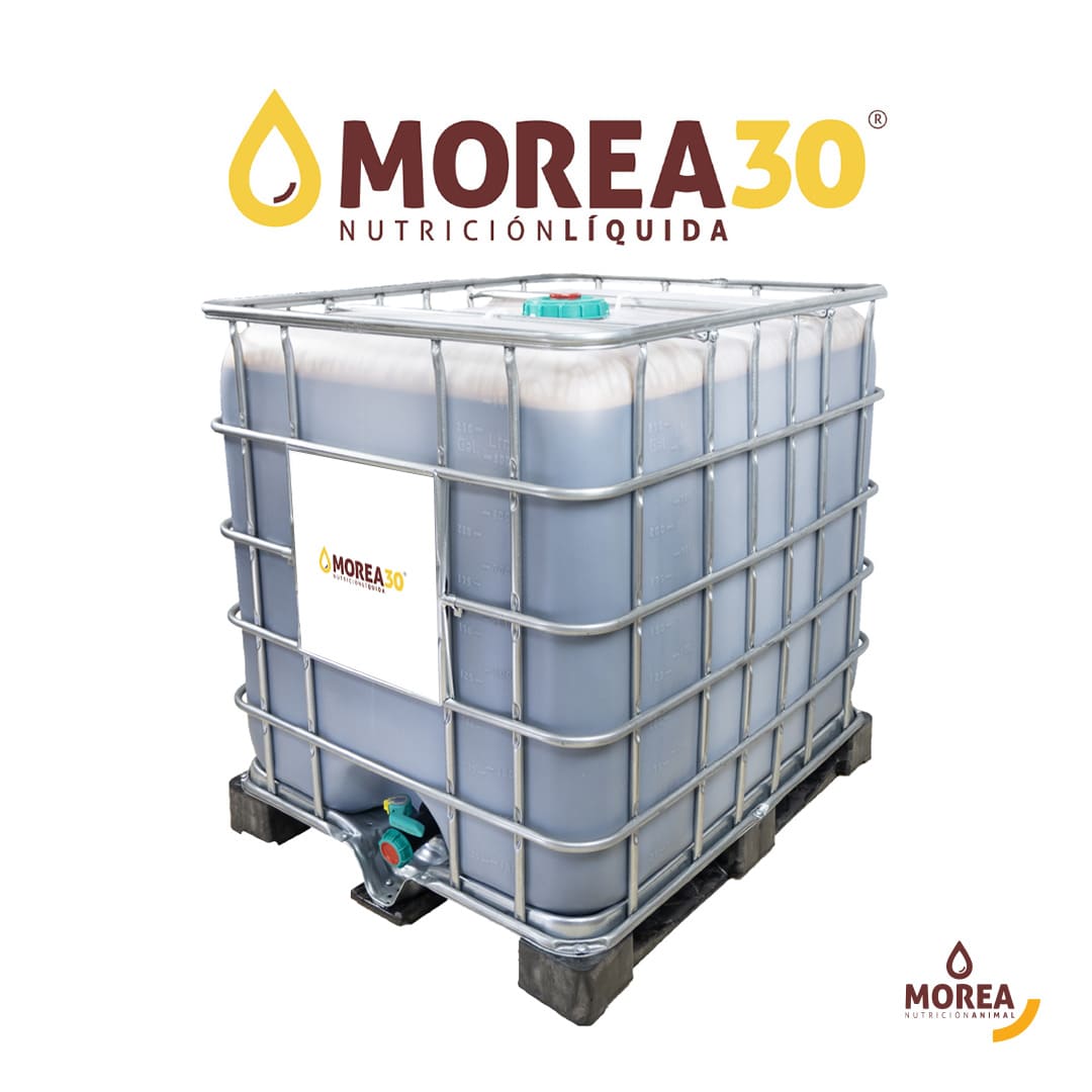 Morea 30
