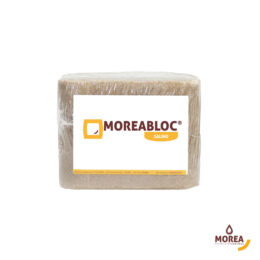 MoreaBloc Salino