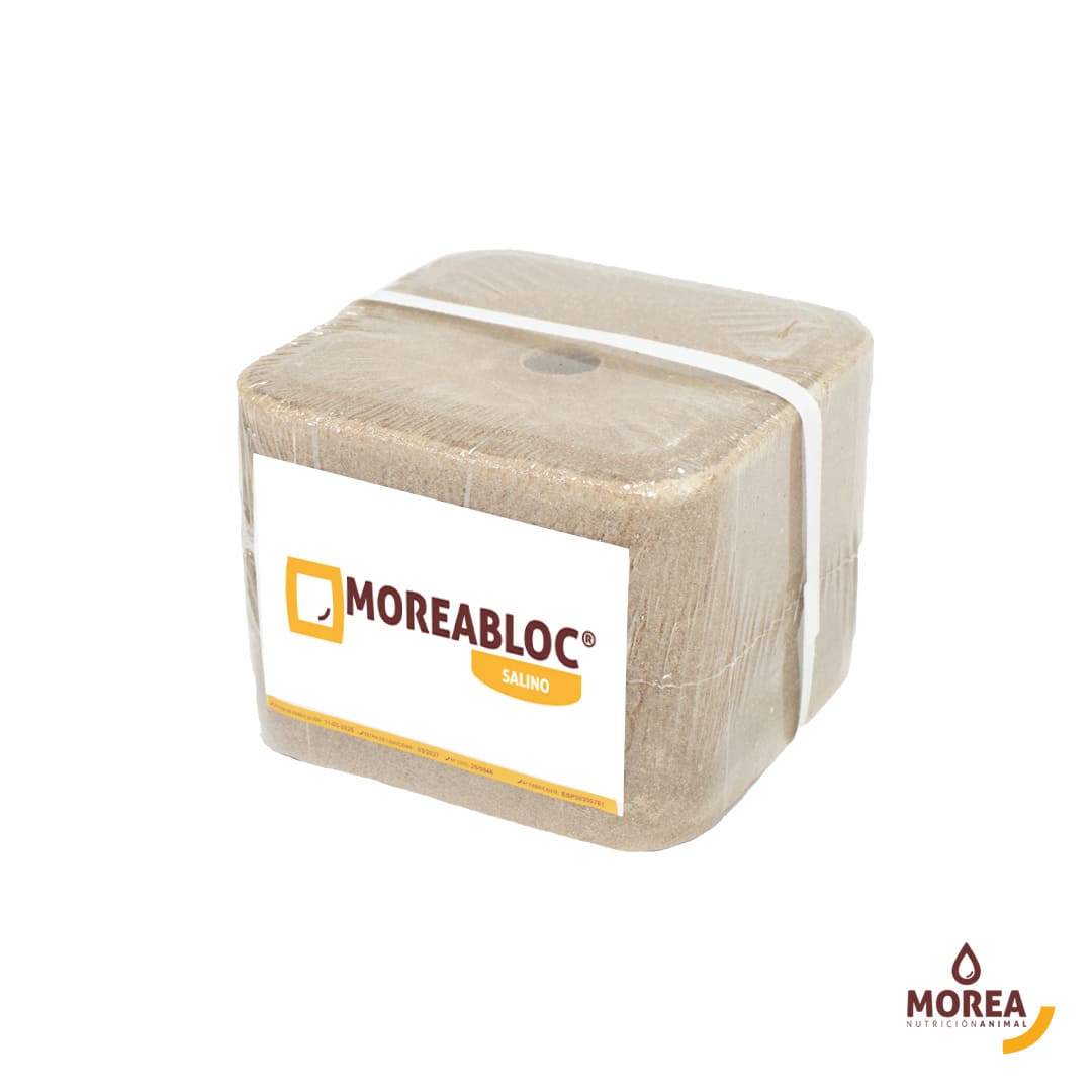 MoreaBloc Salino