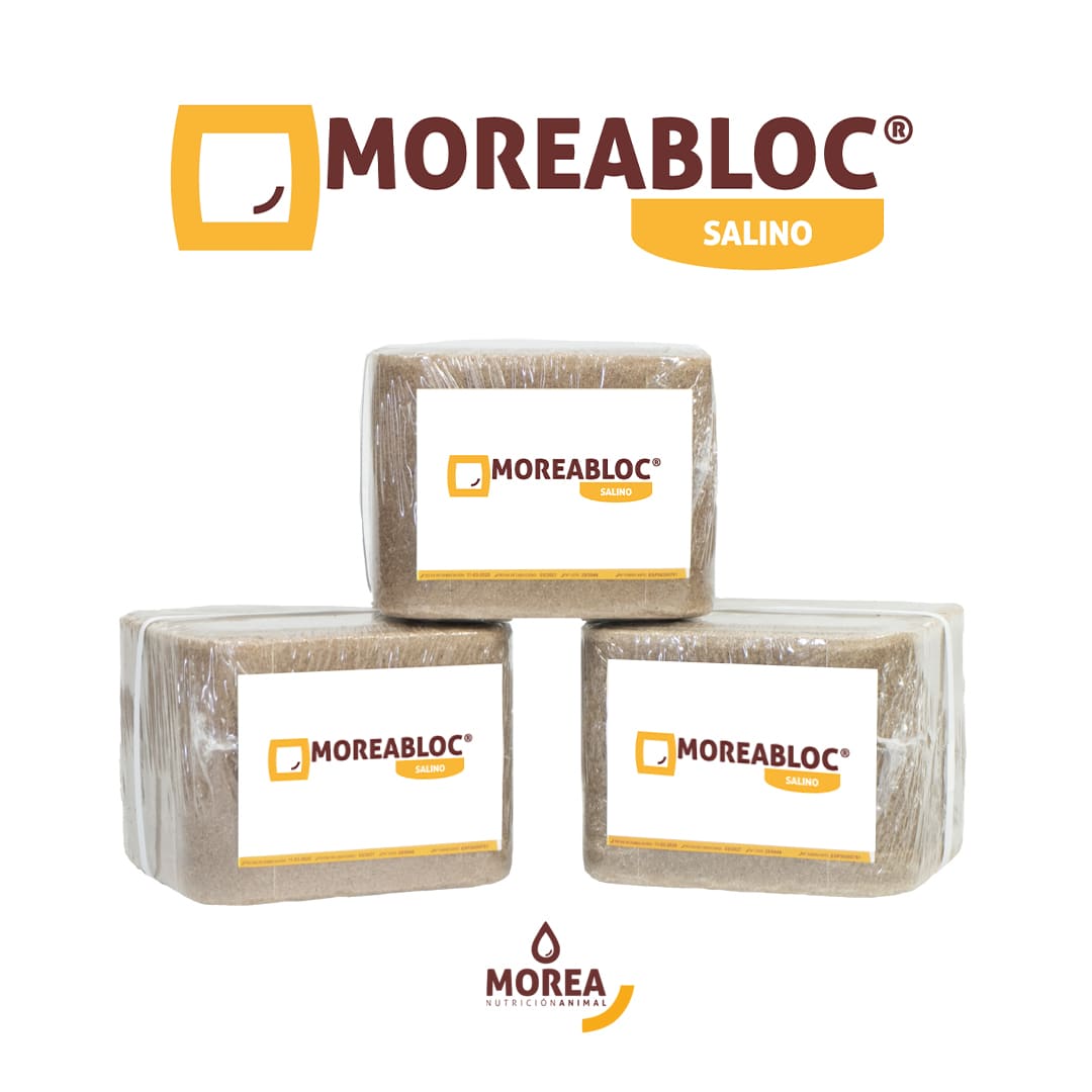 MoreaBloc Salino
