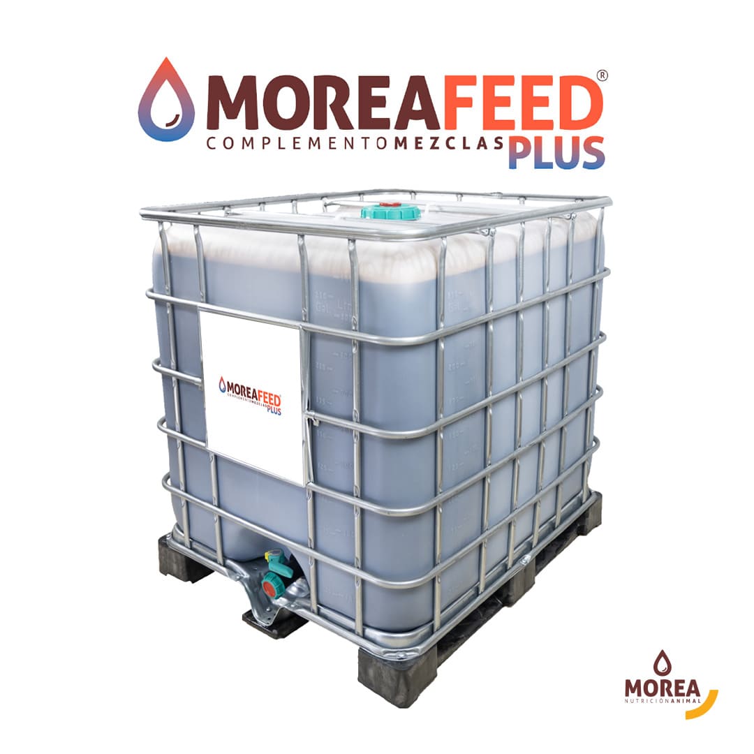 feed plus