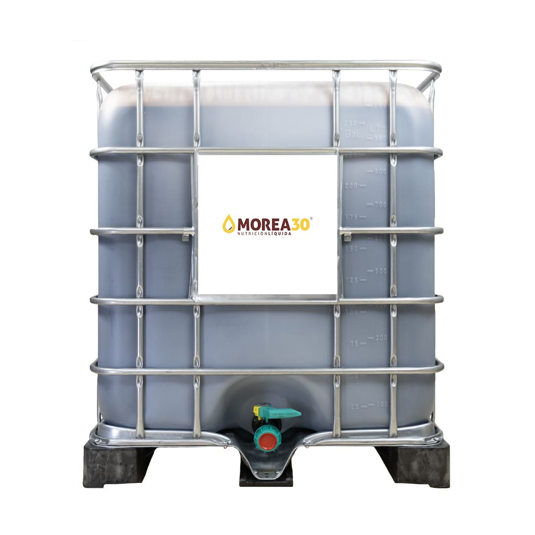 morea 30